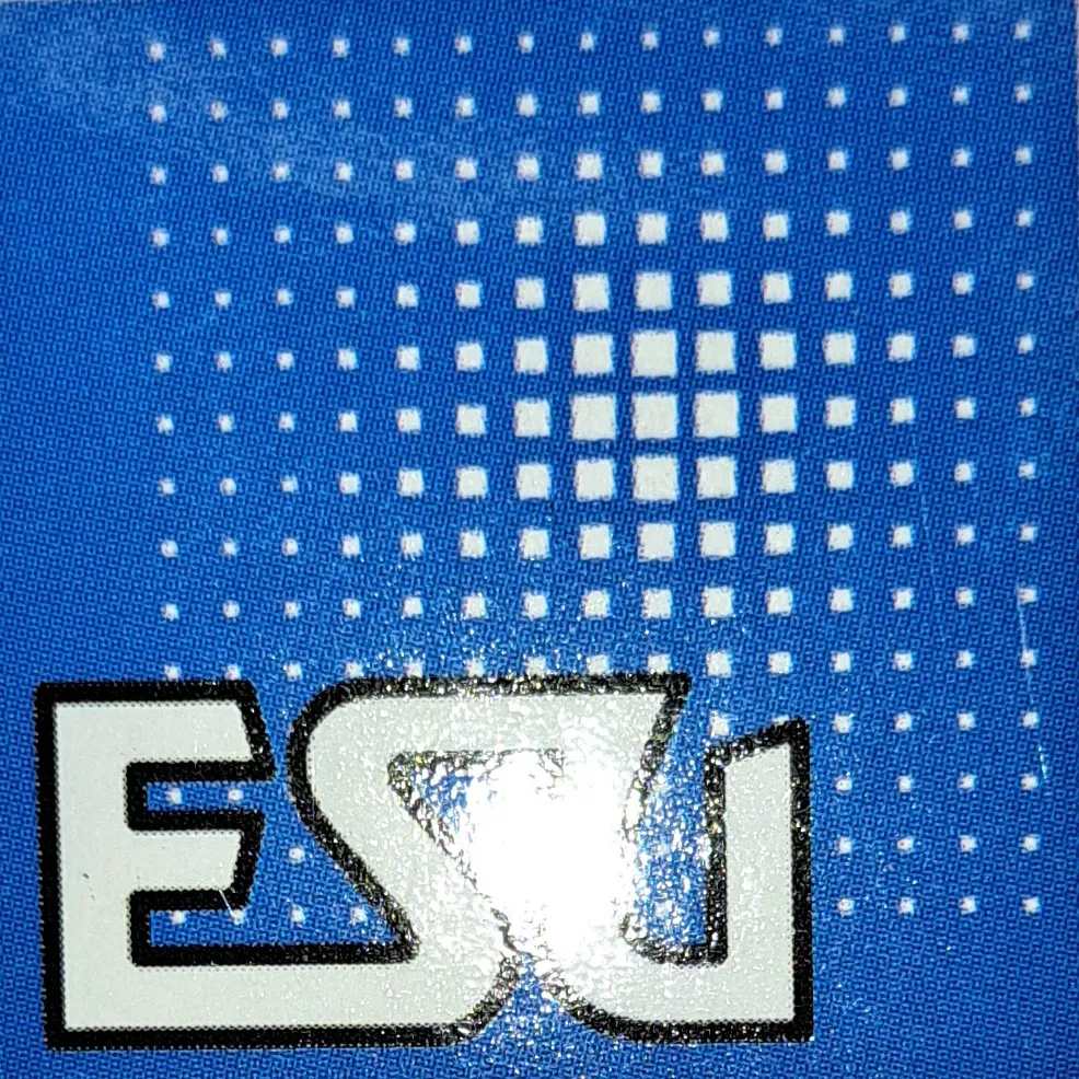 ESU Lokpilot 5 - FX Multi-Protocoll
